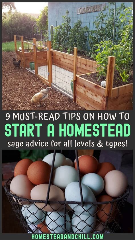 How To Start A Homestead 9 Must Read Tips For New Homesteaders
