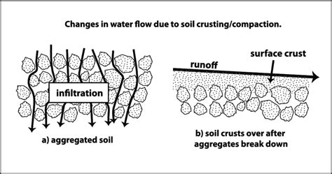 Water Infiltration And Runoff Into Well Aggregated And Weakly