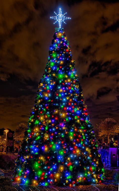 “Light Up Night” Tree Lighting, Christmas Parade & Holly Jolly First