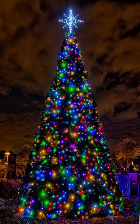 Light Up Night Tree Lighting Christmas Parade And Holly Jolly First