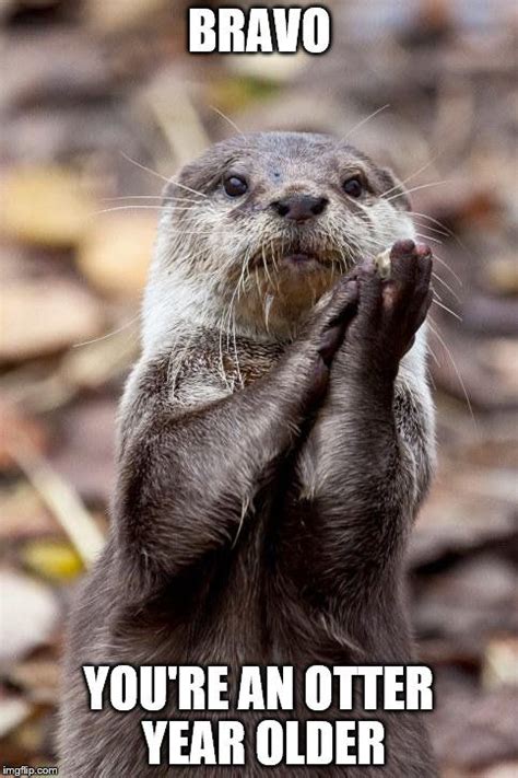 Image Tagged In Slow Clap Otter Otters Otters Cute Otter Love