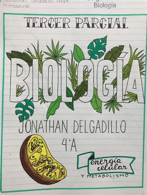 Cuadernos de anillas todos los departamentos alexa skills alimentación y bebidas amazon fresh amazon warehouse appstore para android audible audiolibros y podcasts exclusivos bebé belleza bricolaje y herramientas. Resultado de imagen para biologia | Portada de cuaderno de ...