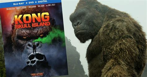 Wird es eine fortsetzung geben? Kong Skull Island Blu-ray/DVD/Digital HD Combo Only $13.99 ...