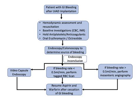Cureus Clinical Approach To Manage Gastrointestinal Bleeding With A