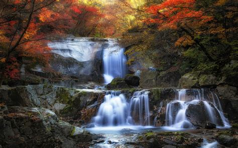 Photo Of Waterfalls Nature Landscape Fall Waterfall HD Wallpaper