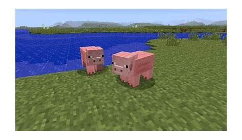 what to feed pigs in minecraft