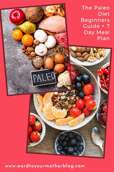 The Paleo Diet Beginners Guide 7 Day Meal Plan
