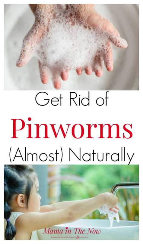 How To Treat Pinworms Almost Naturally For Good How To Treat