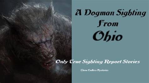 A Dogman Sighting From Ohio Youtube
