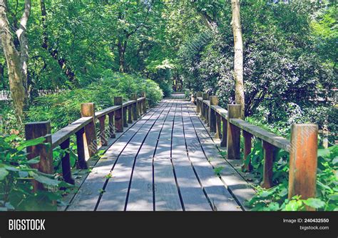 Wood Pathway Forest Image And Photo Free Trial Bigstock