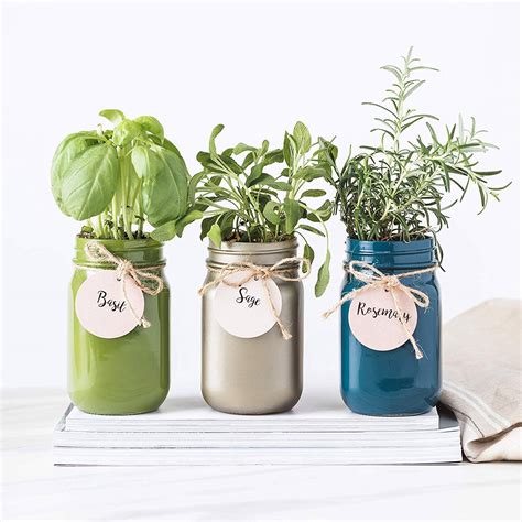 22 Mason Jar Indoor Herb Garden Ideas You Cannot Miss Sharonsable