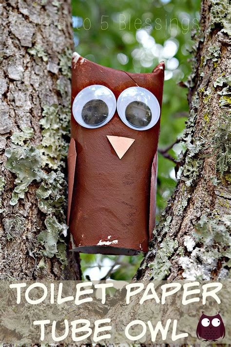 Toilet Paper Tube Owl Kids Craft With Linky