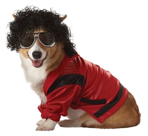 Pup A Razzis Pop Star Dog Fancy Dress Costumes Are Totally Inspired