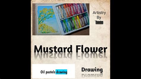 How To Draw Mustard Flowers With Oil Pastels Coloursoil Pastels