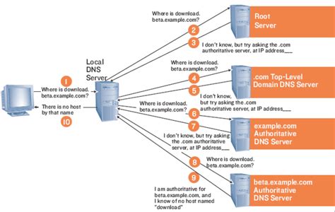 Dns Domain Name Server Route Xp