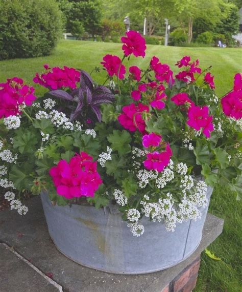 Best 15 Stunning Summer Planter Ideas To Beautify Your Home Flower