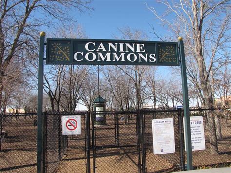 Canine Commons Dog Park