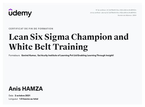 Pdf Anis Hamza Lean Six Sigma Champion And White Belt Training