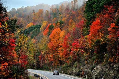 Drive Into Autumn Explore Virginia Fall West Virginia Scenery