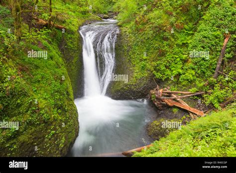 Oregon Columbia River Gorge National Scenic Area Oneonta Falls Stock