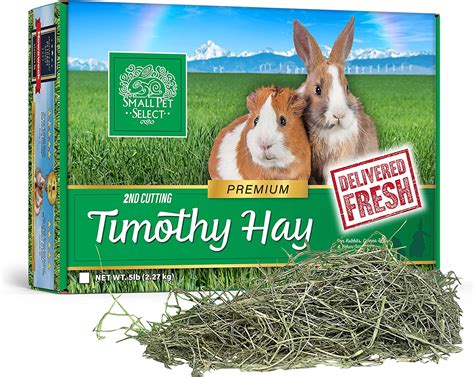 Buy Small Pet Select 2nd Cutting Timothy Hay 95 Lb Guinea Pig