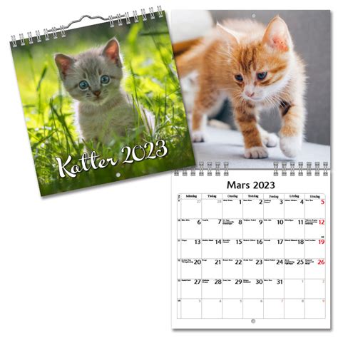 Väggkalender Katter Mini 2023 Köp Almanacka Online Specialbutik För