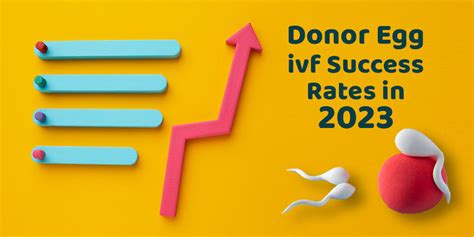 Donor Egg Ivf Success Rates In 2023 Tebmedtourism