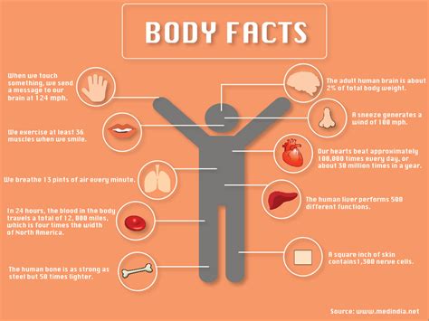 Body facts - TommieMedia