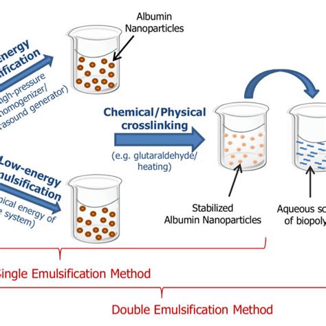 Schematic Representation Of The Emulsification Solvent Diffusion Method