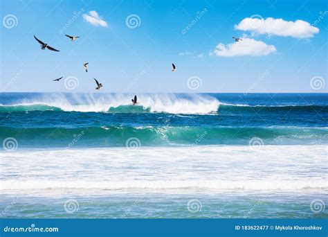 Beautiful Beach Tropical Sea And Blue Sky With Seagulls Stock Image