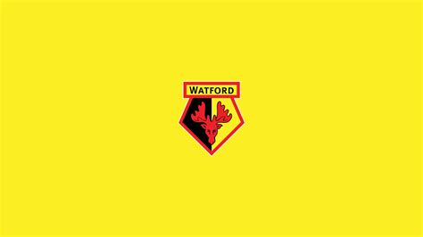During their history, the club developed a few designs that last. From Belgium's second division to the Premier League ...