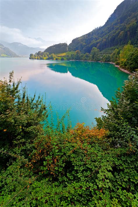 Majestic Mountain Lake In Switzerland Stock Photo Image Of