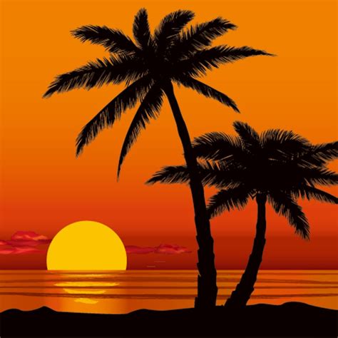Wholesale Summer Sunset Beach Palm Tree Vinyl Cloth
