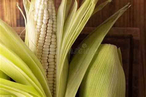 White Corn Cob Closeup Stock Image Image Of Peel Diet 240576109