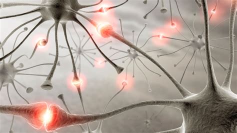 Logran ‘reconectar Un Grupo De Neuronas Dañadas Por Una Enfermedad
