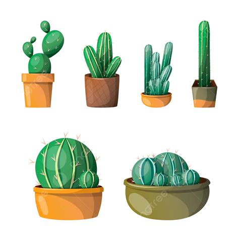 Cactus On Pot Illustration Set Vector Cactus Cactus Pot Plant Png