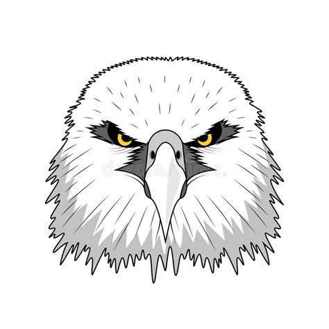 Bald Eagle Symbol Of North America Stock Vector Illustration Of