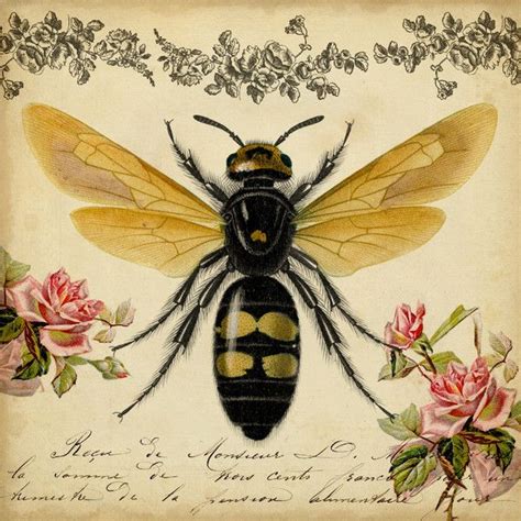 Honey Bee Canvas Print Bee Art Vintage Bee