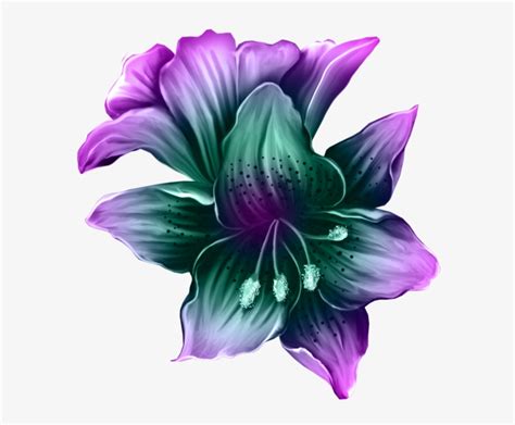 Clip Art Download Amaryllis Drawing Purple Lily Flower Swan Decoupage