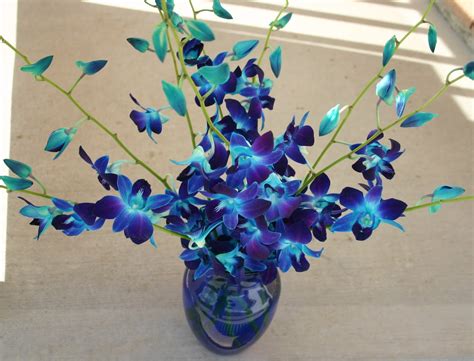 Stem Dyed Orchids A Work Of Art Made Easy Sowing The Seeds