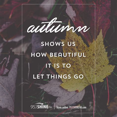 Autumn Show Us How Beautiful It Is To Let Things Go Encouraging