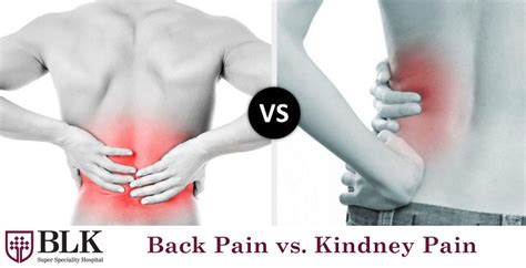 Inside the head is the brain, which is responsible for thinking. How to Differentiate between Back Pain and Kidney Pain ...