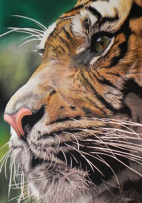 Tiger Artwork Tiger Painting Animals Artwork Art Painting Painting