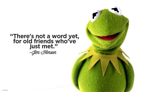 Kermit The Frog Quotes Shortquotescc
