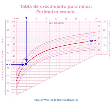 Tabla De Crecimiento Cómo Interpretarla Dodot Micro Blogs