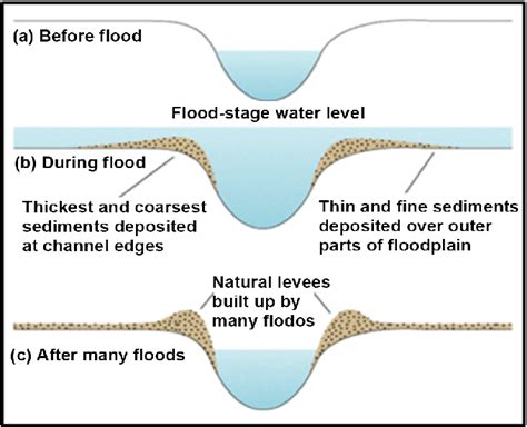 Floodplains And Levees Download Scientific Diagram