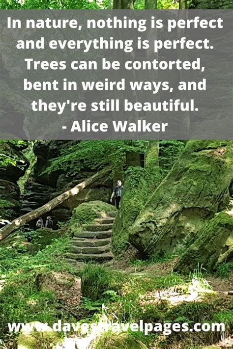 Best Nature Quotes Inspirational Sayings And Quotes About Nature
