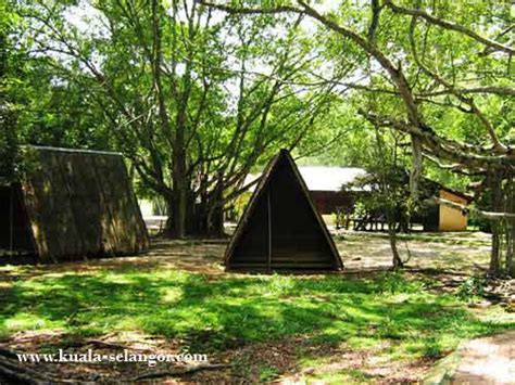 Kuala selangor nature park is located on the estuary of selangor river or sungai selangor and has an area of about 240 hectares. Kuala Selangor Nature Park / Taman Alam Kuala Selangor