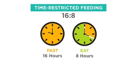 Intermittent Fasting A Beginners Guide To Time Restricted Feeding Metabolic Meals Blog