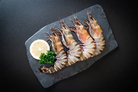 Fresh Tiger Prawn Or Shrimp Stock Image Image Of Gourmet Crustacean